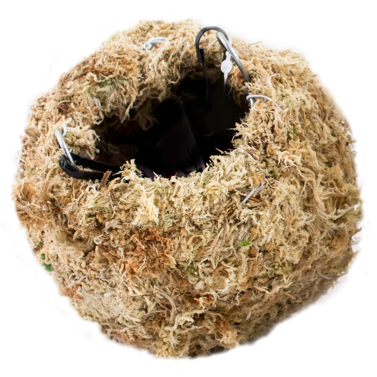 SuperMoss Kokedama Planter