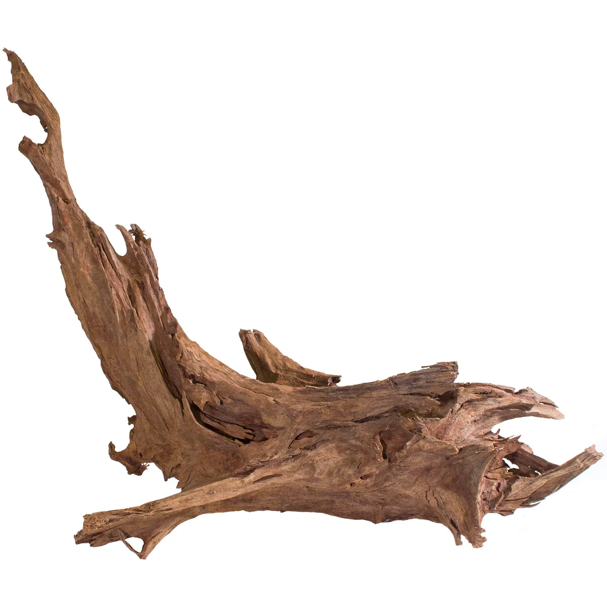 SuperMoss Malaysian Driftwood