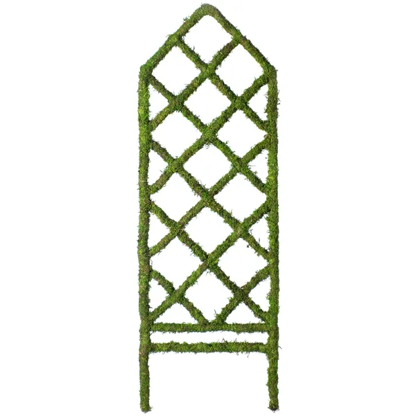 SuperMoss Mini Diamond Moss Trellis