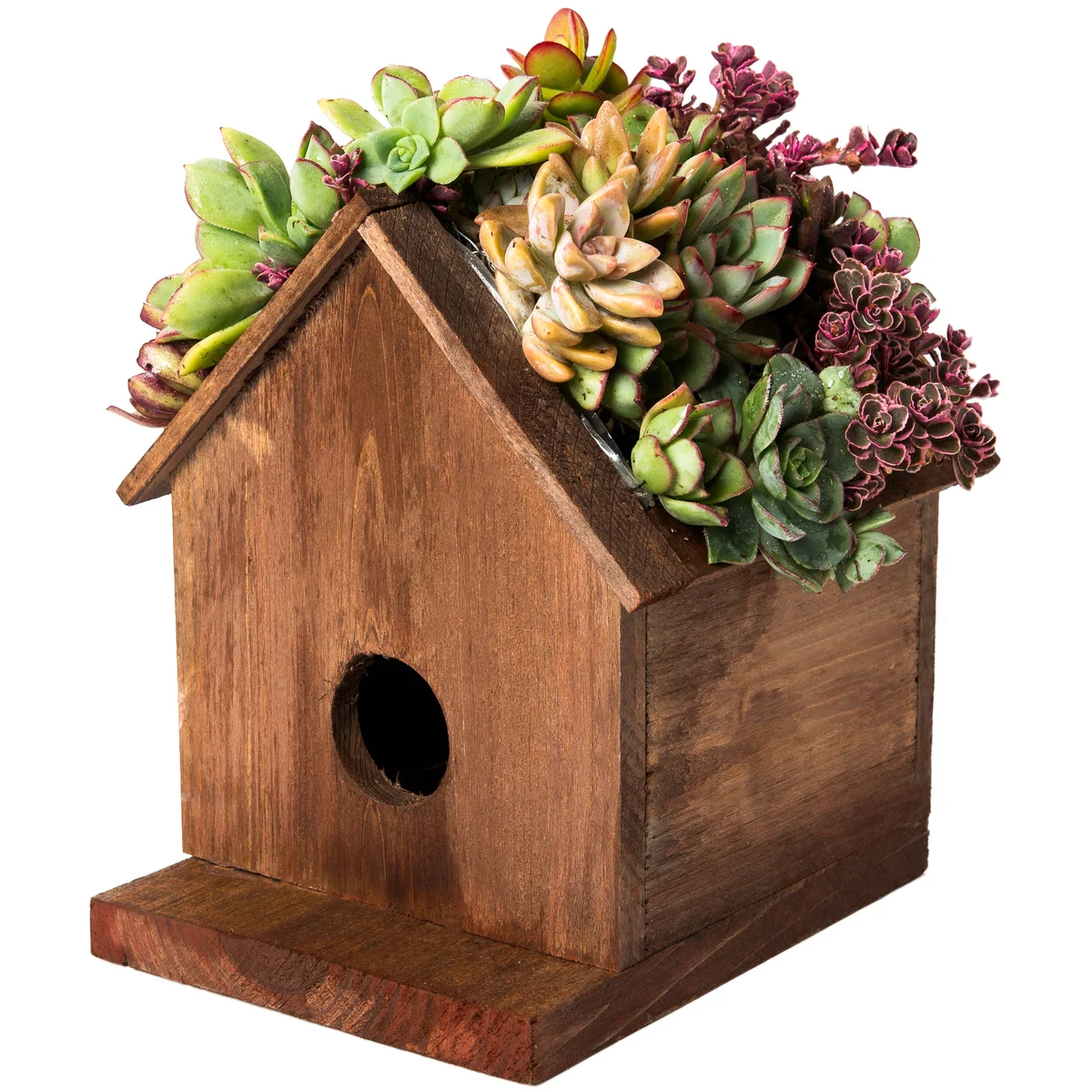 SuperMoss Plantable Wood Birdhouse