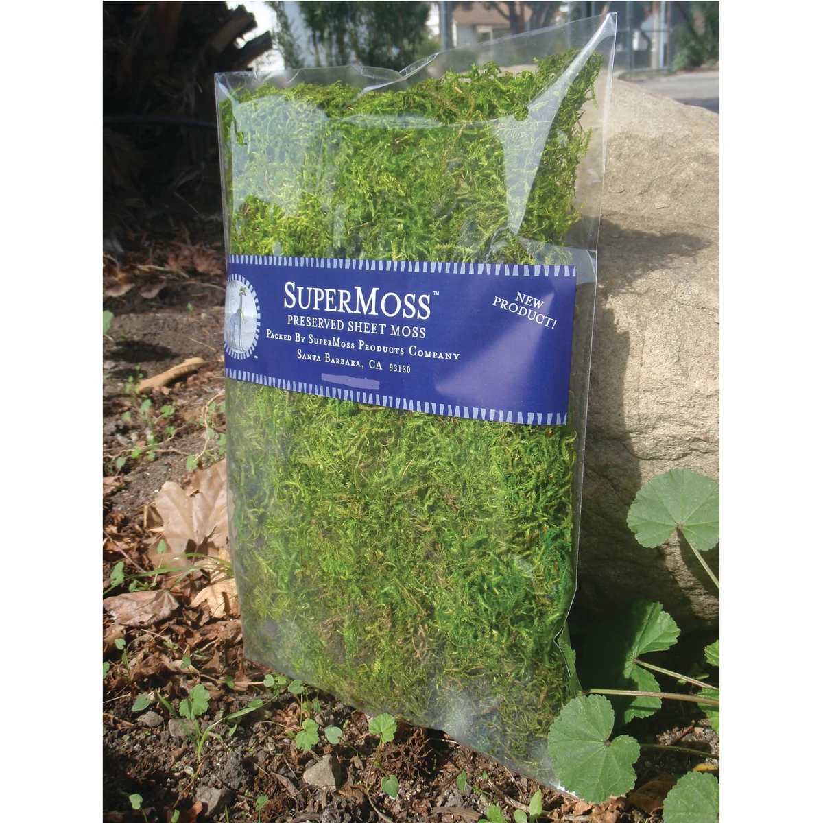 SuperMoss Preserved Forest Moss