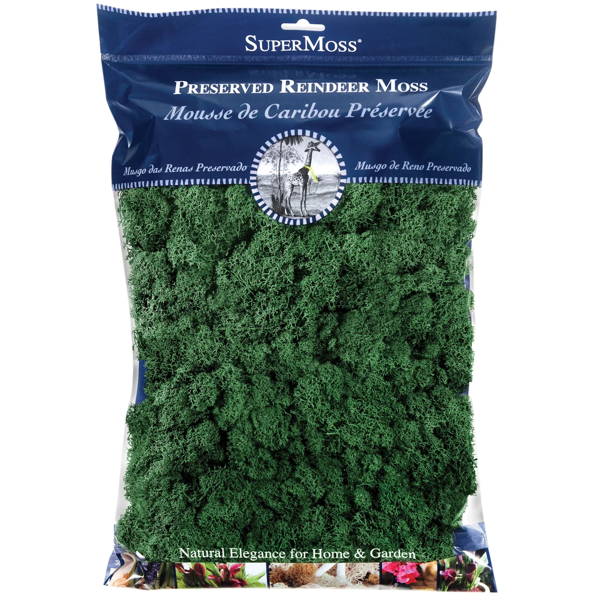 SuperMoss Reindeer Moss Preserved