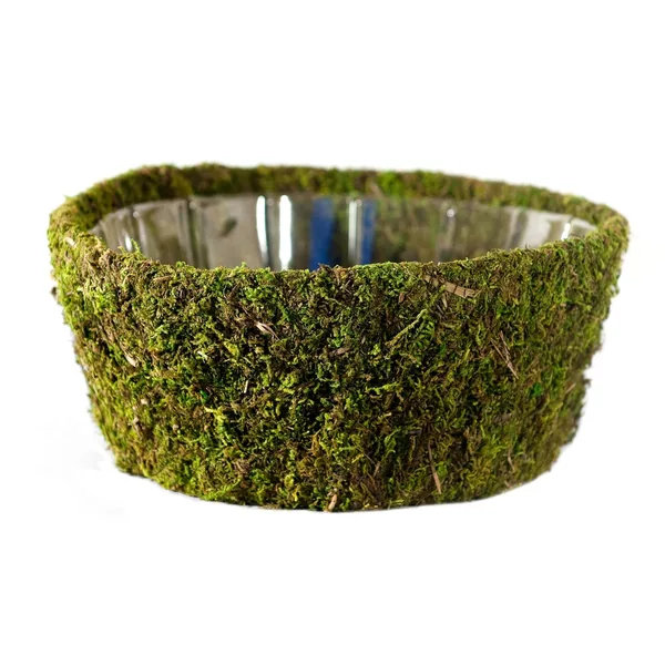 SuperMoss Roseville Deco Baskets