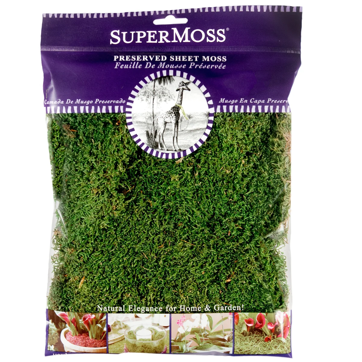 SuperMoss Sheet Moss Preserved