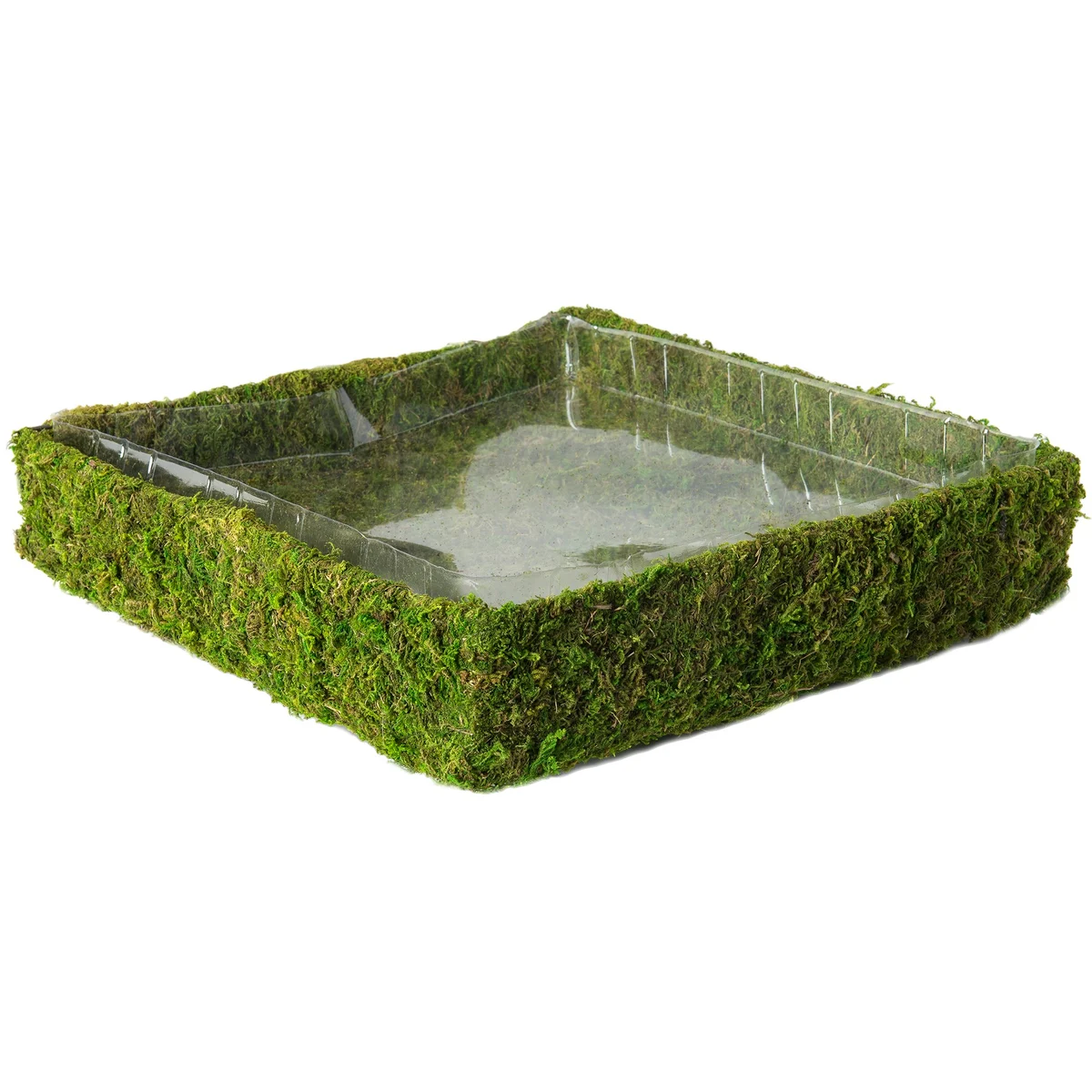 SuperMoss Square Fairy Garden Basket