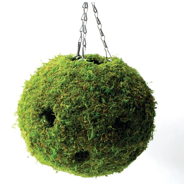 SuperMoss Woven Hanging Ball Planter