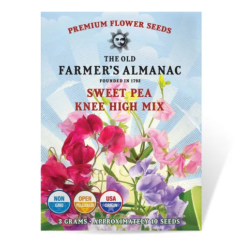 Sweet Pea, Knee High Mix 2.7 Grams - Image 2