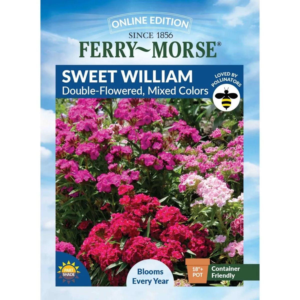 Sweet William, Tall Double Mix 470mg - Image 2