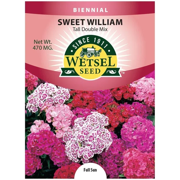 Sweet William, Tall Double Mix 470mg