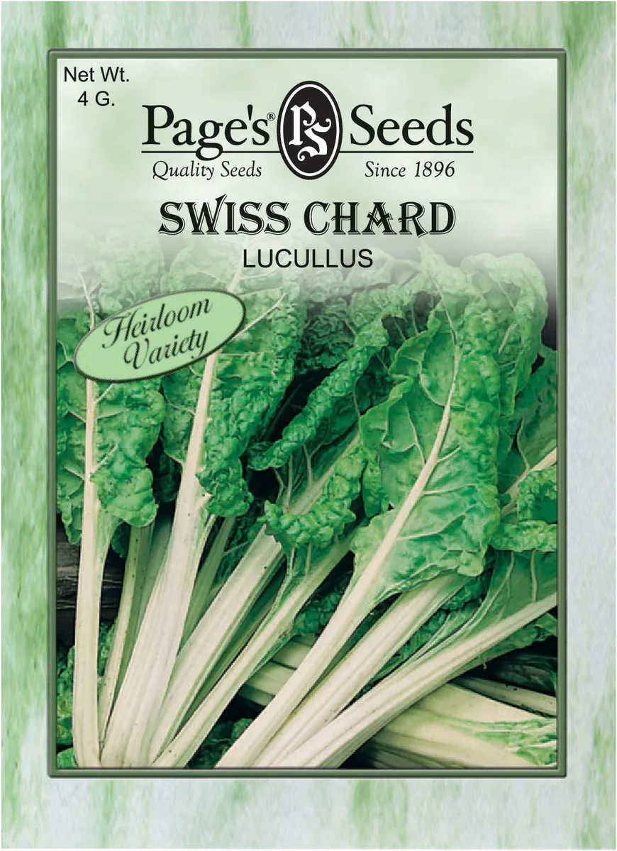 Swiss Chard, Heirloom Lucullus 3.5 Grams - Image 2