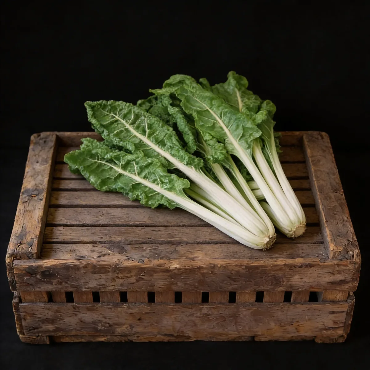 Swiss Chard, Lucullus 3.5 Grams - Image 2