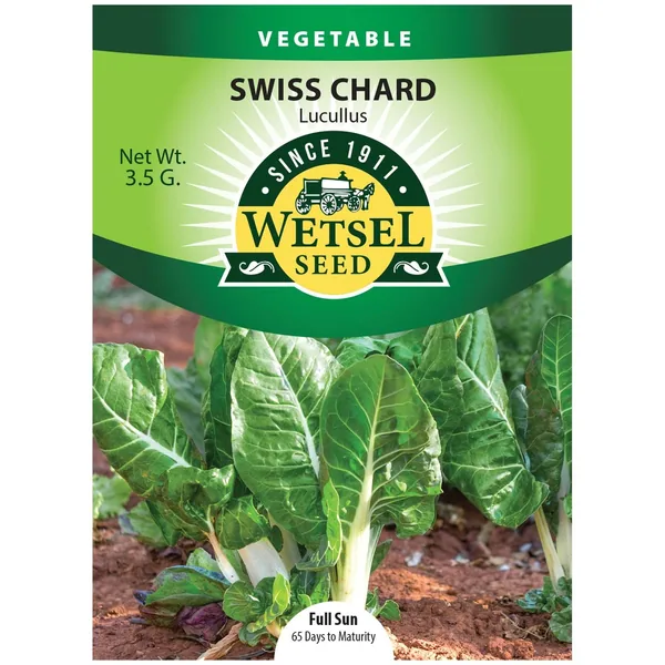 Swiss Chard, Lucullus 3.5 Grams