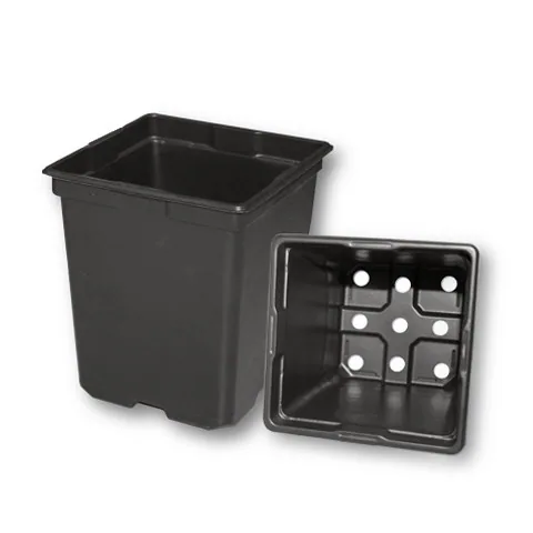 T.o. Plastics SVD-550 - BLACK (NO TAG SLITS) (EXCEPTION TO PRESS FILL FEATURE) (Case of 200)