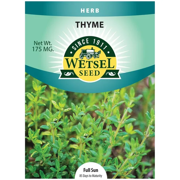 Thyme 175mg