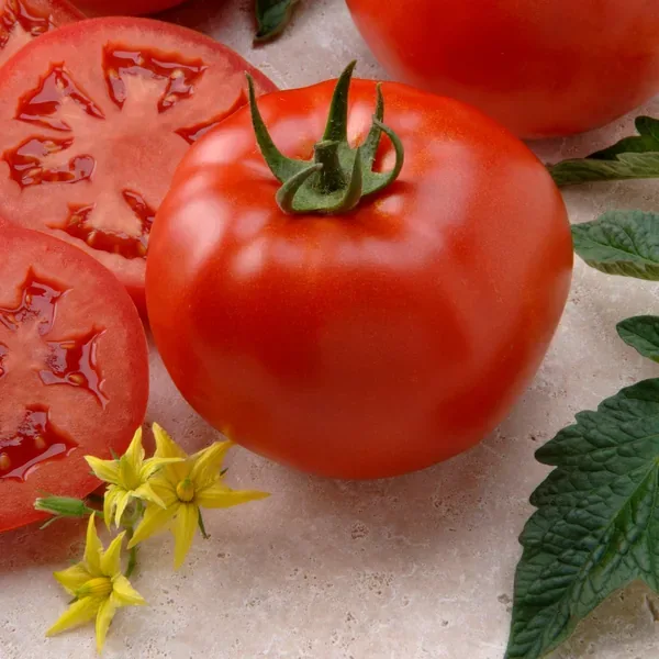 Tomato, Better Boy Treated 100 Seed Count - Image 2