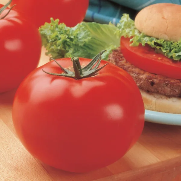 Tomato, Big Beef Treated 500 Seed Count