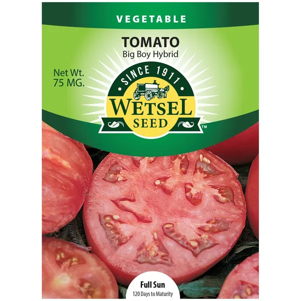 Tomato, Big Boy 75mg