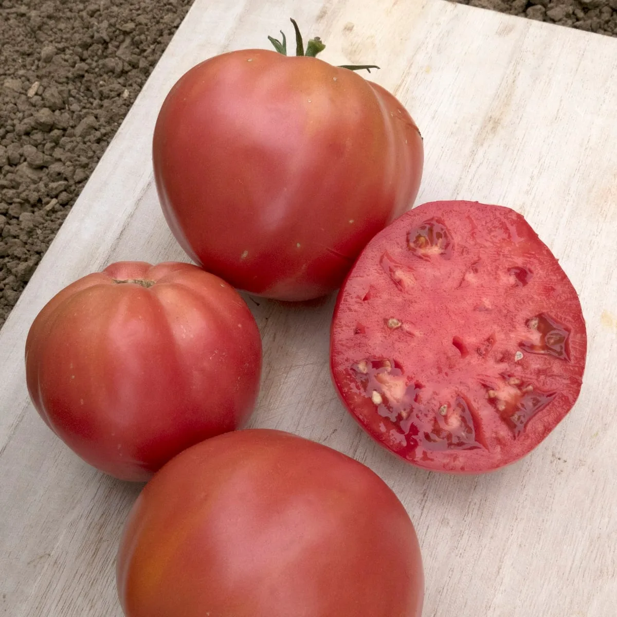 Tomato, Brandywine Pink Potato Leaf 100 Seed Count - Image 2