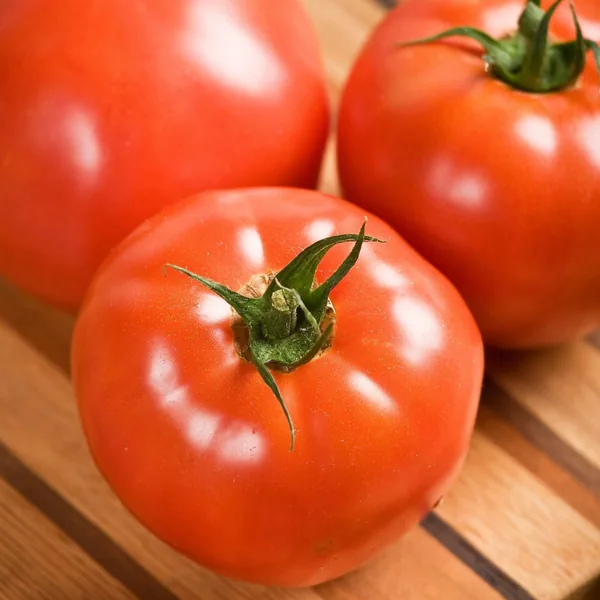 Tomato, Celebrity Hybrid Treated 100 Seed Count