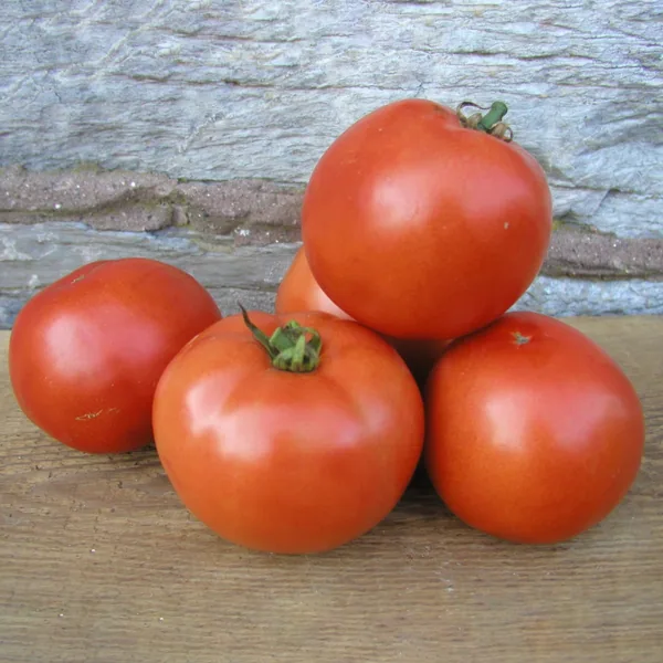 Tomato, Early Girl 500 Seed Count
