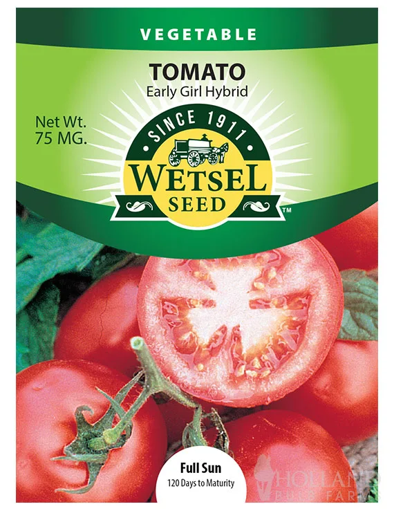 Tomato, Early Girl 75mg - Image 2