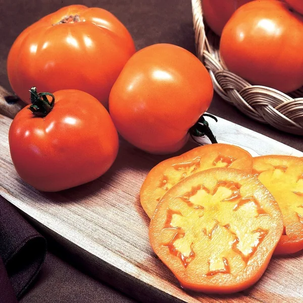 Tomato, Golden Jubilee 1