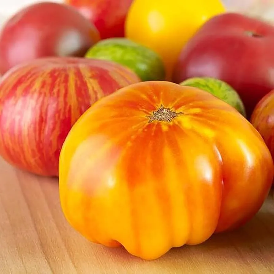 Tomato, Hillbilly Potato Leaf 1000 Seed Count - Image 2