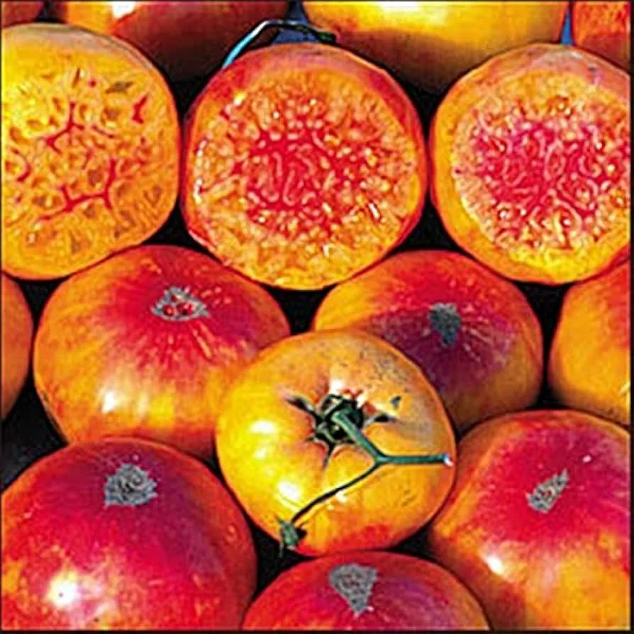 Tomato, Hillbilly Potato Leaf 200mg - Image 2
