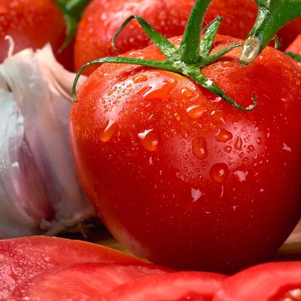 Tomato, Homestead 1