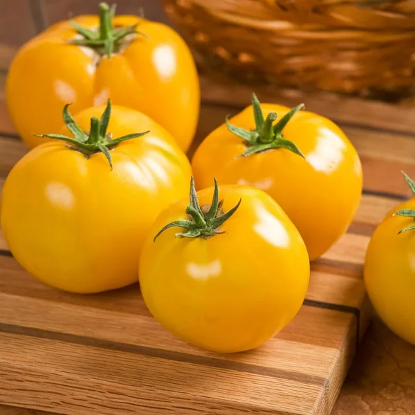 Tomato, Lemon Boy Hybrid Treated 100 Seed Count