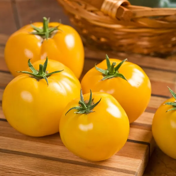 Tomato, Lemon Boy Untreated 500 Seed Count