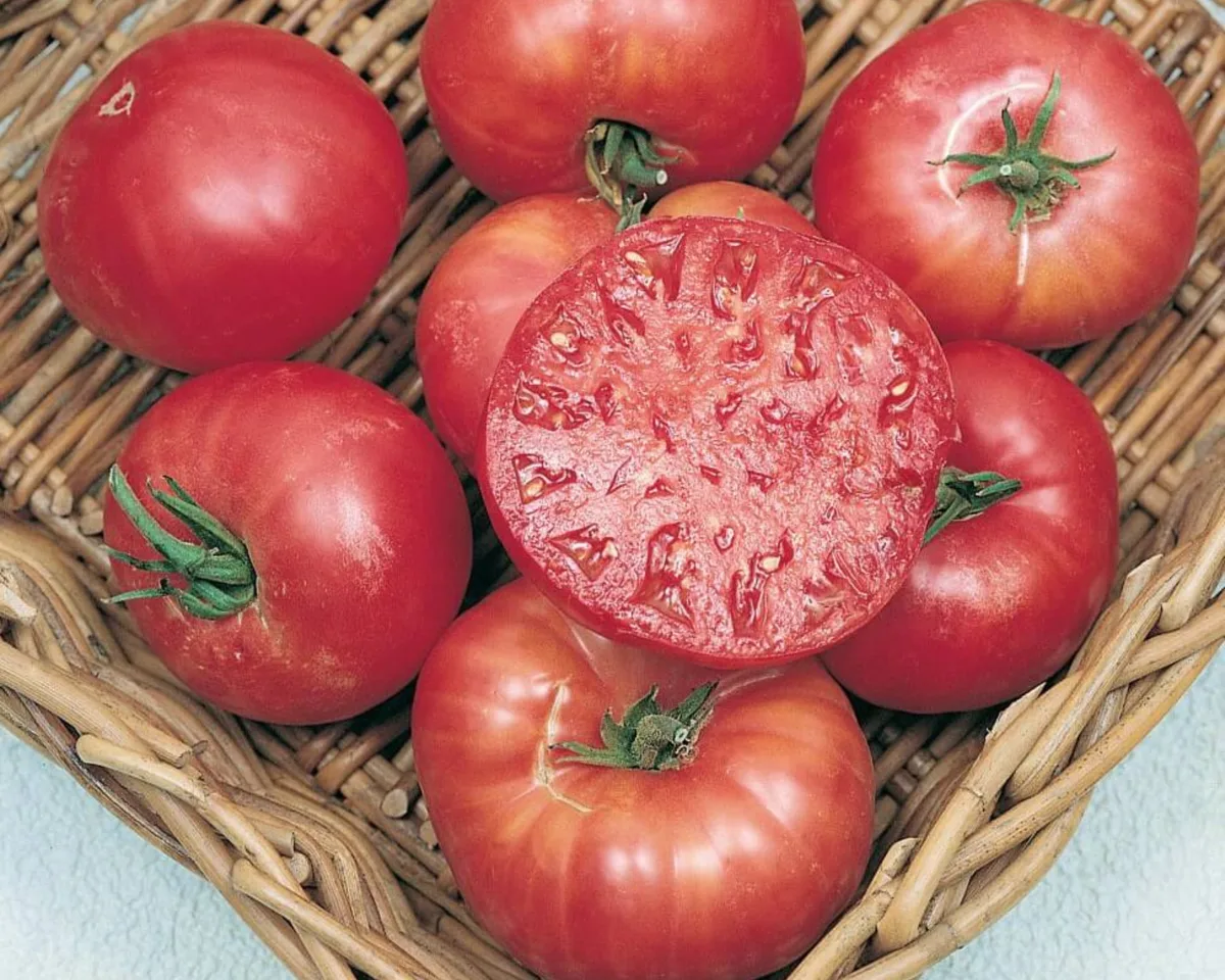 Tomato, Mortgage Lifter 100 Seed Count - Image 2
