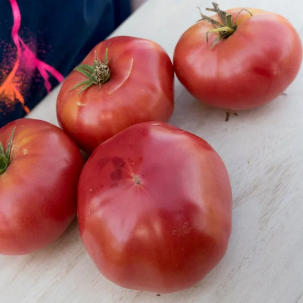 Tomato, Mortgage Lifter 100 Seed Count