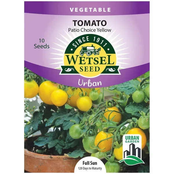 Tomato, Patio Choice Yellow 10 Seed Count - Image 2