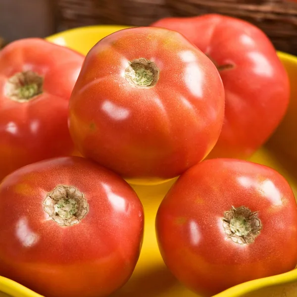 Tomato, Pink Girl Hybrid Treated 500 Seed Count