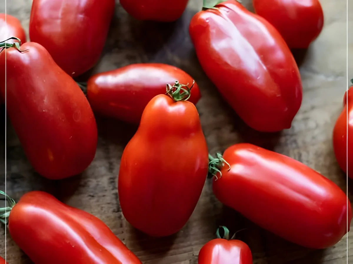Tomato, San Marzano Indeterminate 100 Seed Count - Image 2