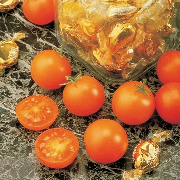 Tomato, Sunsugar 100 Seed Count - Image 2