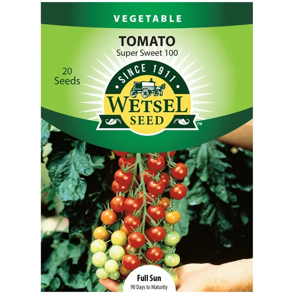 Tomato, Super Sweet 100 20 Seed Count