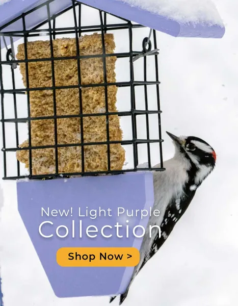 Top Choice Bucks & Birds Mix 4 lbs Each
