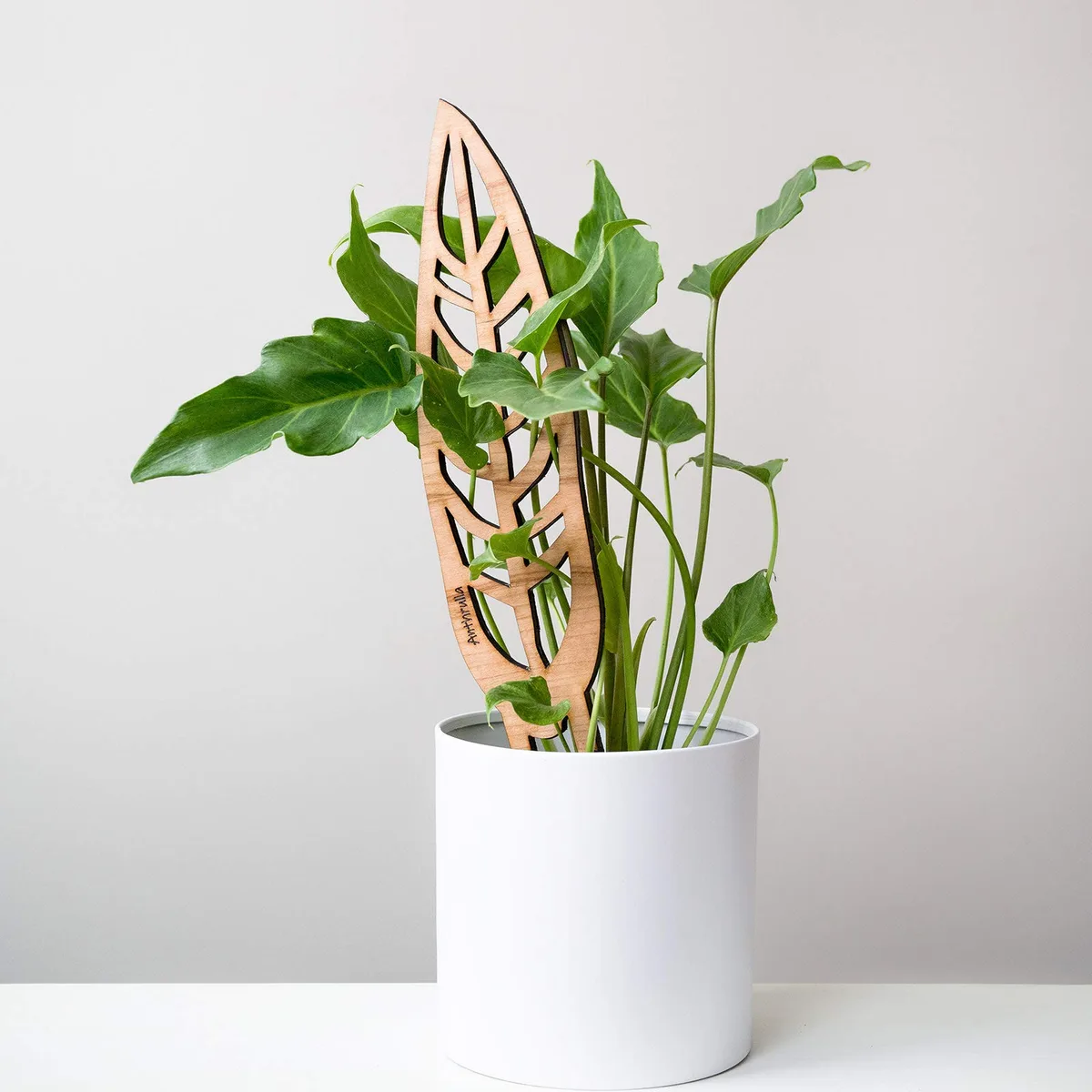 Treleaf 12" Anthrulla BARE Regular Customizable DIY BARE Collection - Make It Your Own - Image 2