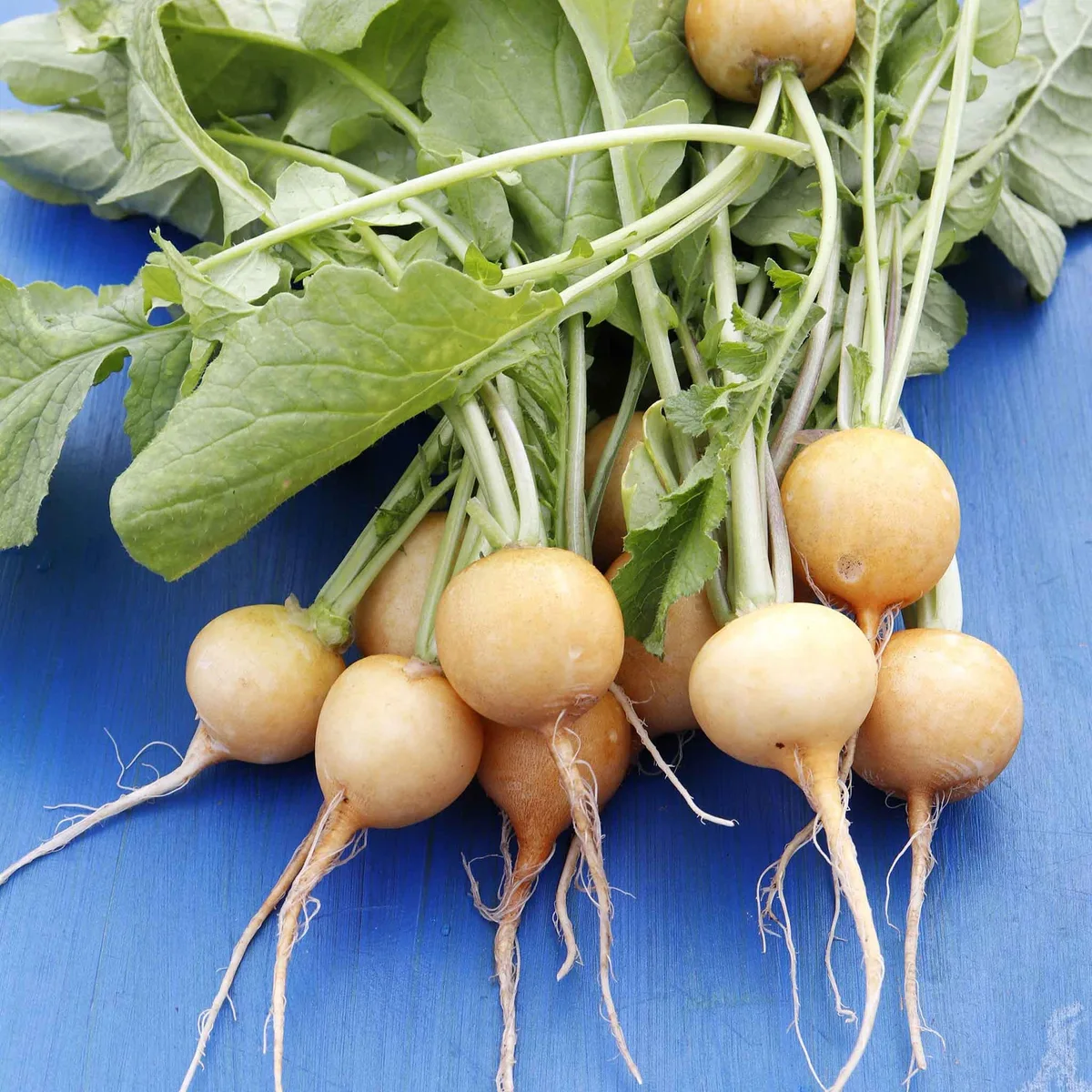 Turnips, Golden Ball - 1/2oz - Image 2