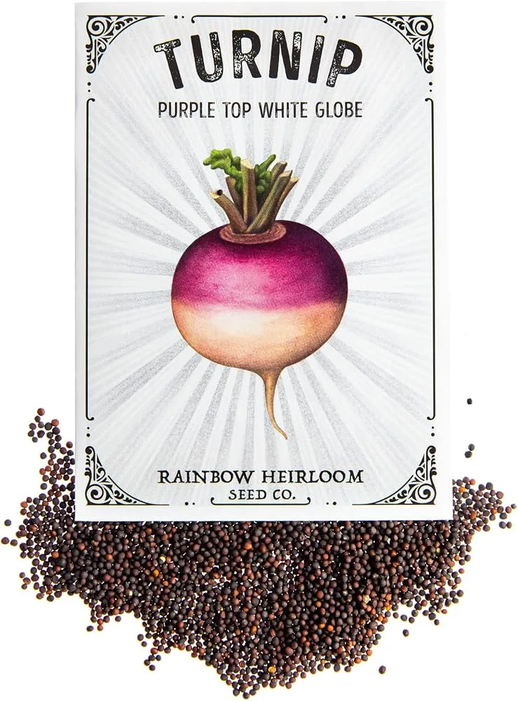 Turnips, Heirloom Purple To 4 Grams - Image 2