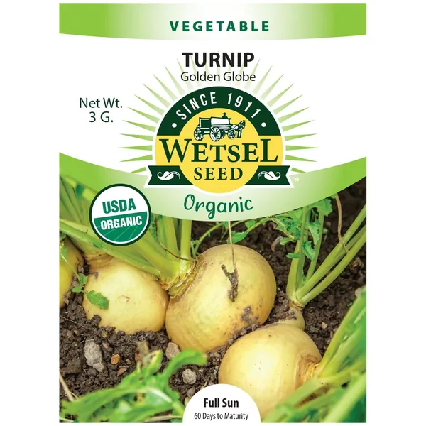 Turnips, Organic, Golden Globe 3 Grams