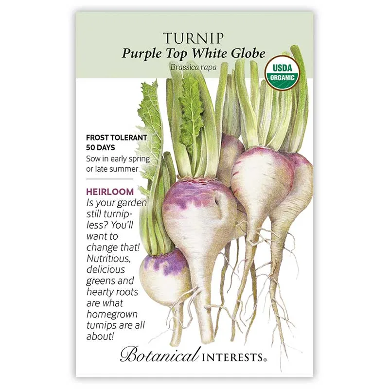 Turnips, Purple Top White Globe 1/2oz - Image 2