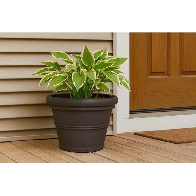 Tusco 13.5" Rolled Rim Planter Espresso - Image 2
