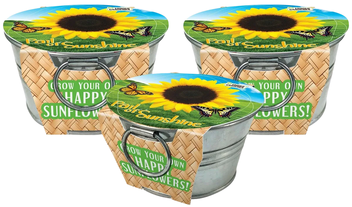VCS 13" Sunflower Pail Planter - Image 2