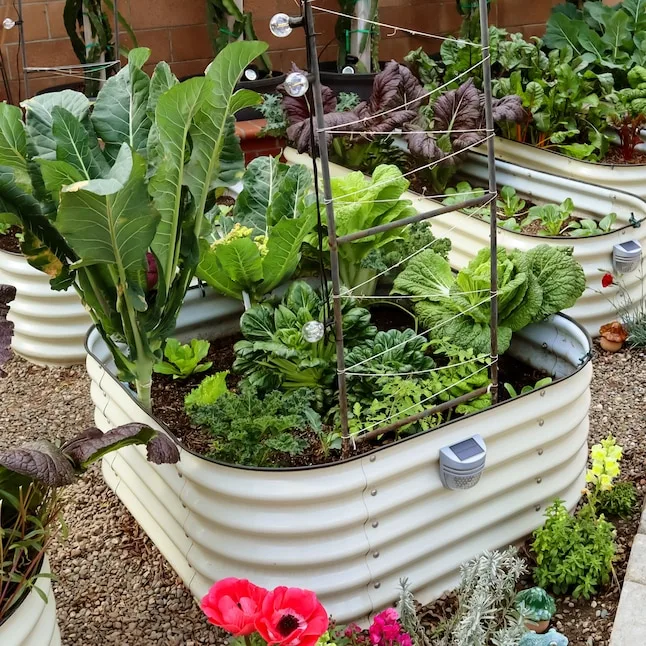 Vego Garden 17" 4 in 1 Modular Metal Raised Bed Pearl White - Image 2