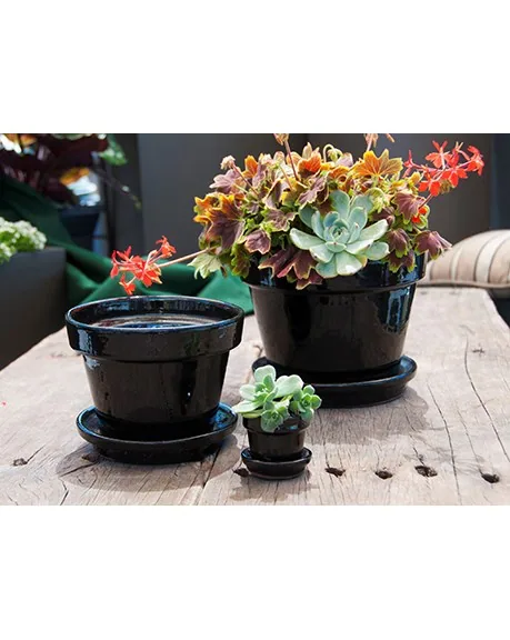 Verandah 2.5 Square Standard with Saucer Black