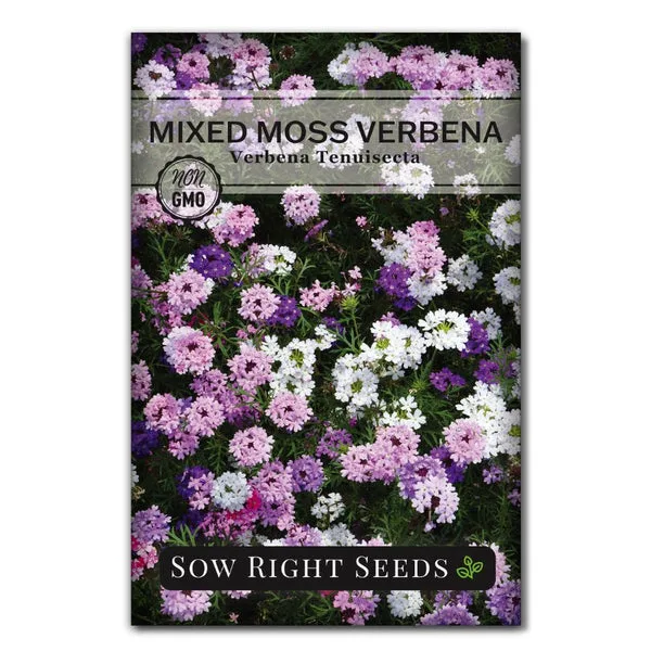 Verbena, Mixed 590mg - Image 2