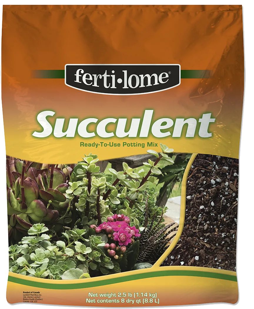 VPG 8qt Succulent Mix Fertilome — priced per each; minimum 6; multiples of 6 - Image 2